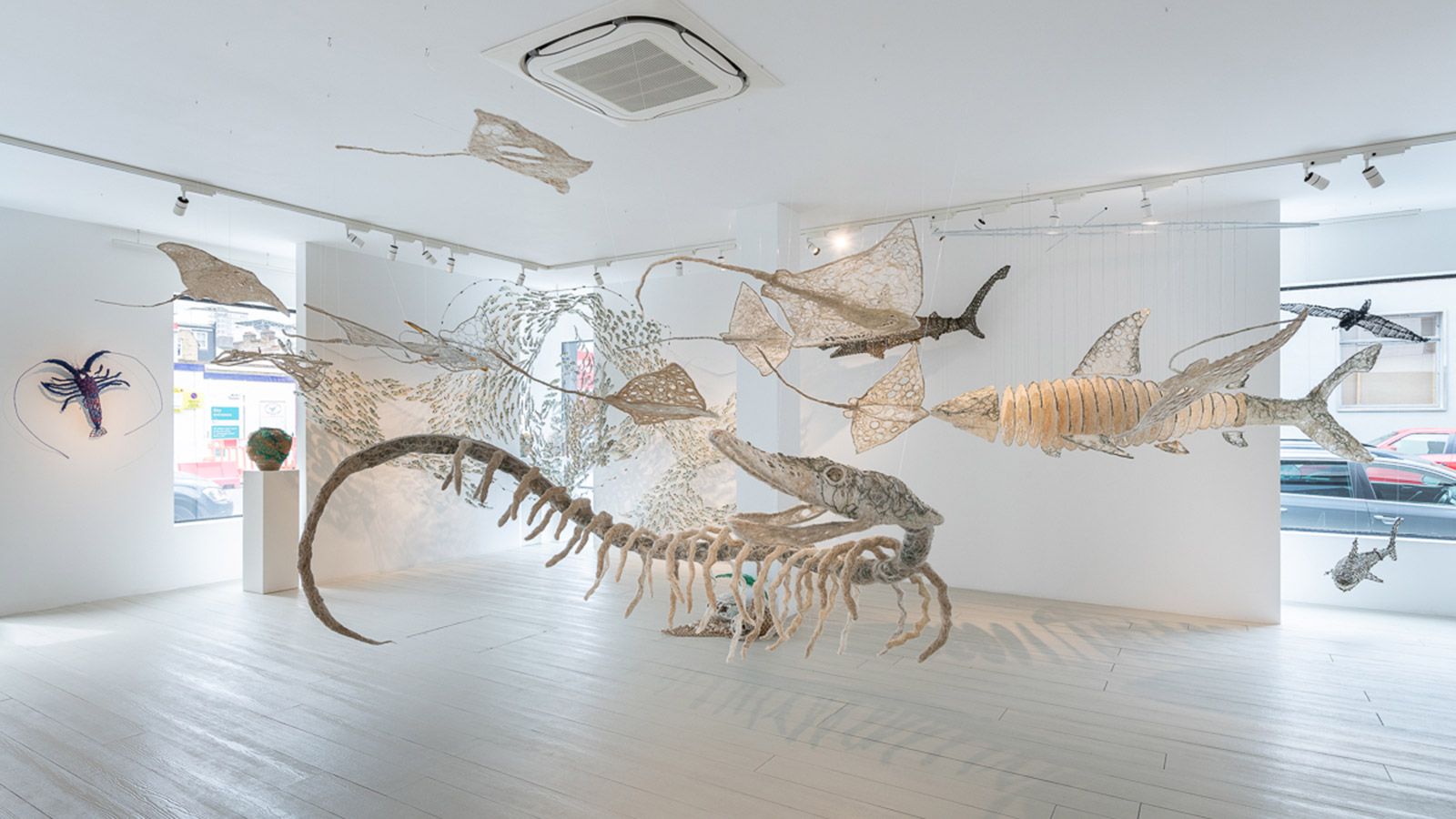 'Caught in the Net' exhibition partners with Blue Marine Foundation